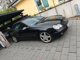Mercedes-Benz Mercedes CLK 200 Kompressor Cabrio TOP AMG 19 - aus 2005: Clk AMG