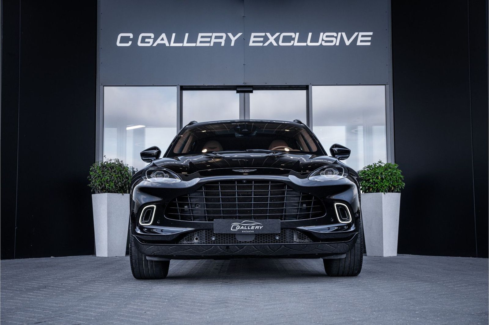Aston Martin DBX 4.0 V8 - 1/500 | Panorama | 360 Camera | Luc imagem 2