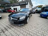 Mercedes-Benz CLS 220 /LEDER/ALU/KAMERA/ - Mercedes-Benz: Schwarz, Cls