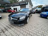 Mercedes-Benz CLS 220 /LEDER/ALU/KAMERA/ - : Kombi, Cls