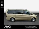 Mercedes-Benz V 300 d 4MATIC EXCLUSIVE AIRMATIC MULTIBEAM 360° - : Gold, Panorama-Dach