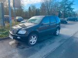 Mercedes-Benz ML 270 cdi Rostfrei w163 schwarz Xenonlich... - Mercedes-Benz ML 270 von privat