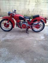 Moto Guzzi Falcone 500 sport - MOTO GUZZI 50