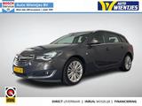 Opel Insignia Sports Tourer 2.0 CDTI 103kw | Business - Opel Insignia mit Diesel-Antrieb: Kombi, Schaltgetriebe