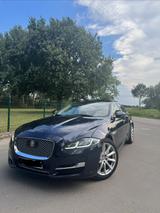 Jaguar XJ Premium Luxury 3.0 V6 Diesel Langversion ... - Jaguar XJ aus 2015