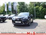 Lexus UX 2.0 250h - Lexus aus 2021