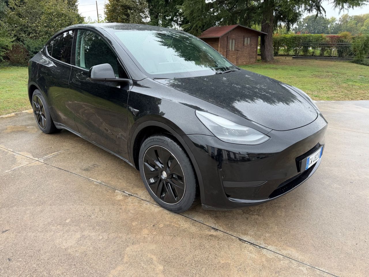 Other Tesla Model Y