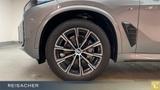 BMW X5 xDrive40d A M-Sport,AHK,DAProf,Autom - graue BMW X5