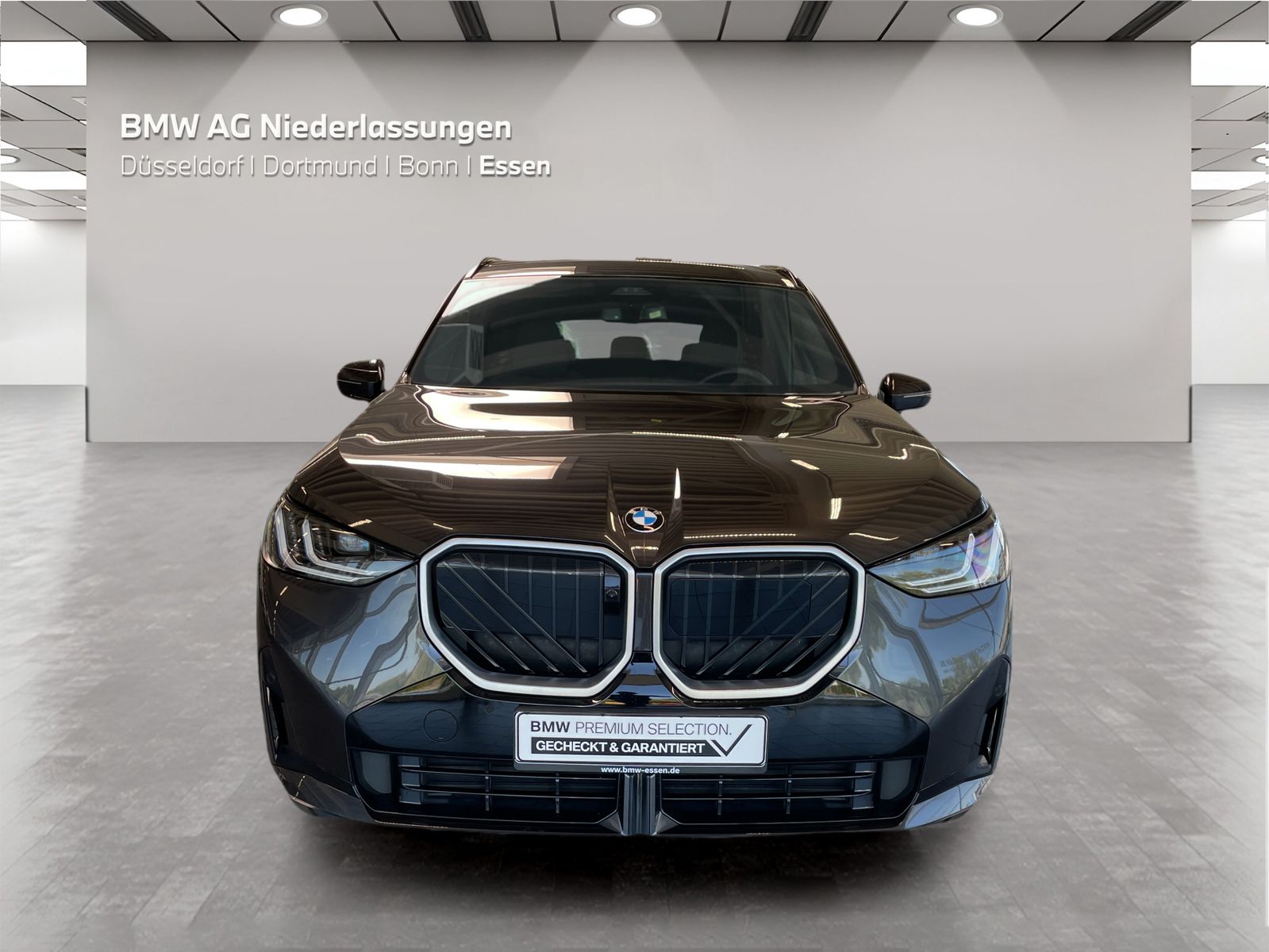 BMW X3 - Bild 8