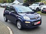 Fiat Panda 1,2 8V Easy - Fiat Panda: Blau