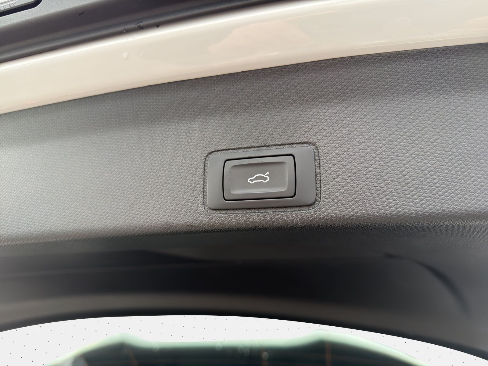 Cupra Terramar - Bild 10