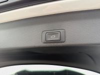 Cupra Terramar - Vorschau Bild 10