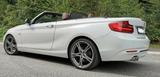 BMW 220d Cabrio Luxury Line Luxury Line,Autom. AHK - gebrauchte Cabrios in Schwerin