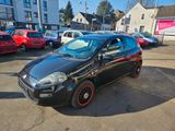 Fiat Punto Easy - Fiat Punto aus 2012