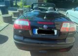 Saab 9-3 1.9TTiD 132kW Vector Cabriolet Vector Hirsch - Saab 9-3 mit Diesel-Antrieb