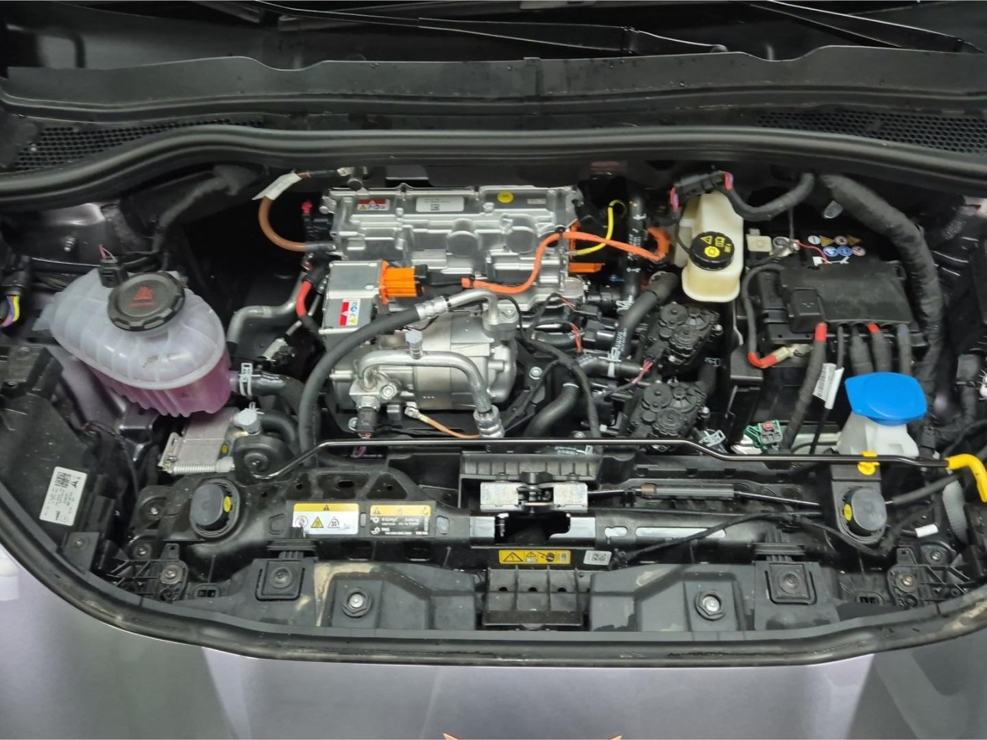 Cupra Raval Endurance Edition Dynamic Plus Plasma 155 