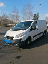 Peugeot Expert mit Bettgestell für Camping - Peugeot Expert aus 2014