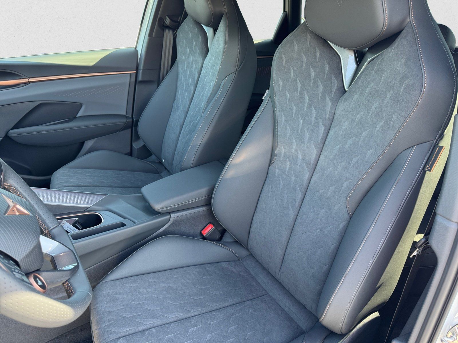 Cupra Terramar - Bild 9