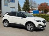 Opel Grandland (X) 1.Hand *Kamera* Vollleder* Bi-LED* - Opel Gebrauchtwagen in Karlsruhe