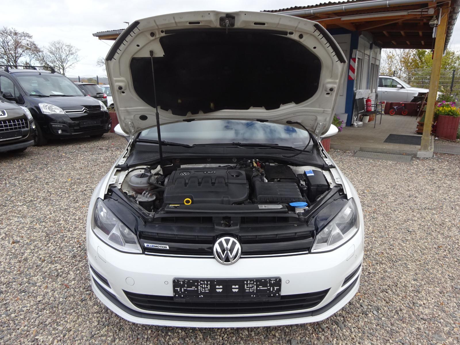 Volkswagen Golf 2014 — photo 14