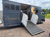 MAN Pferdetransporter | 4 Pferde | Wohnbereich I