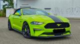 Ford FORD MUSTANG GT 5.0 Cab. Aut. Fifty Five Y... - Ford Mustang Gebrauchtwagen in Frankfurt