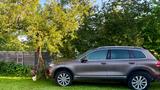 Volkswagen Touareg 3.0 V6 TDI Tiptr Exclusive BMot Tech... - gebrauchte VW Touareg aus dem Jahr 2014