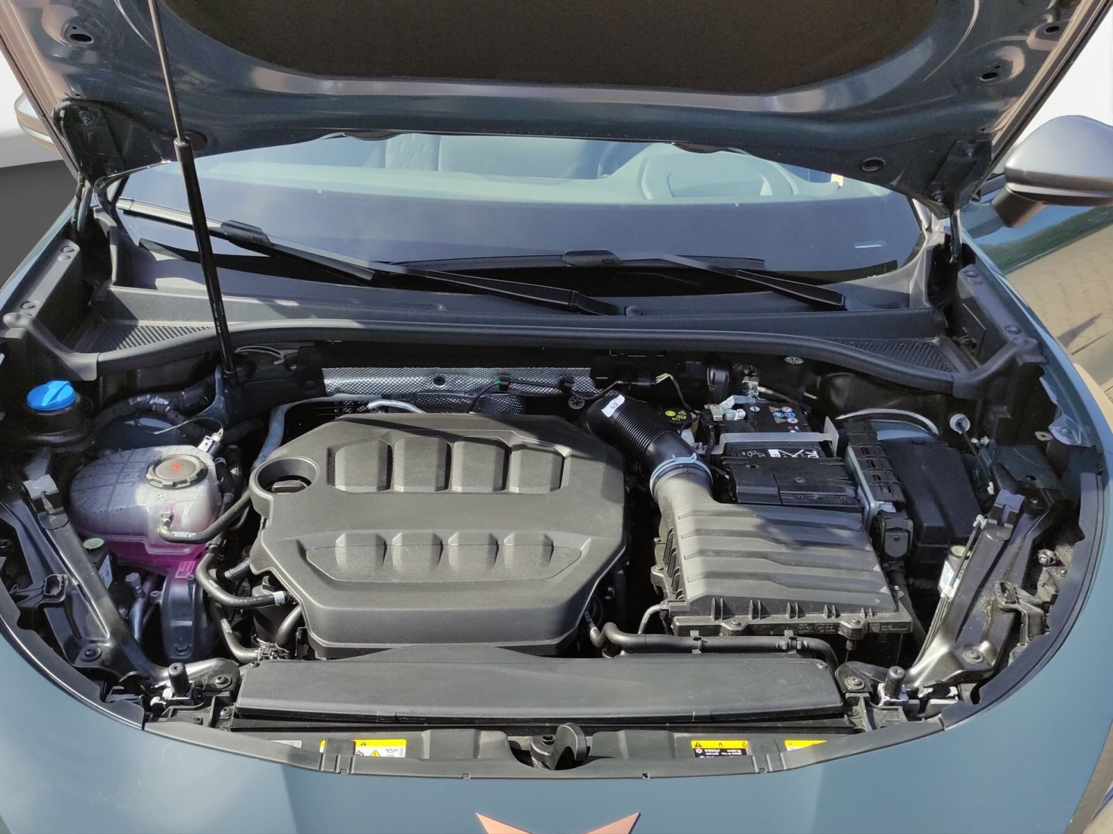 Cupra Terramar - Bild 19