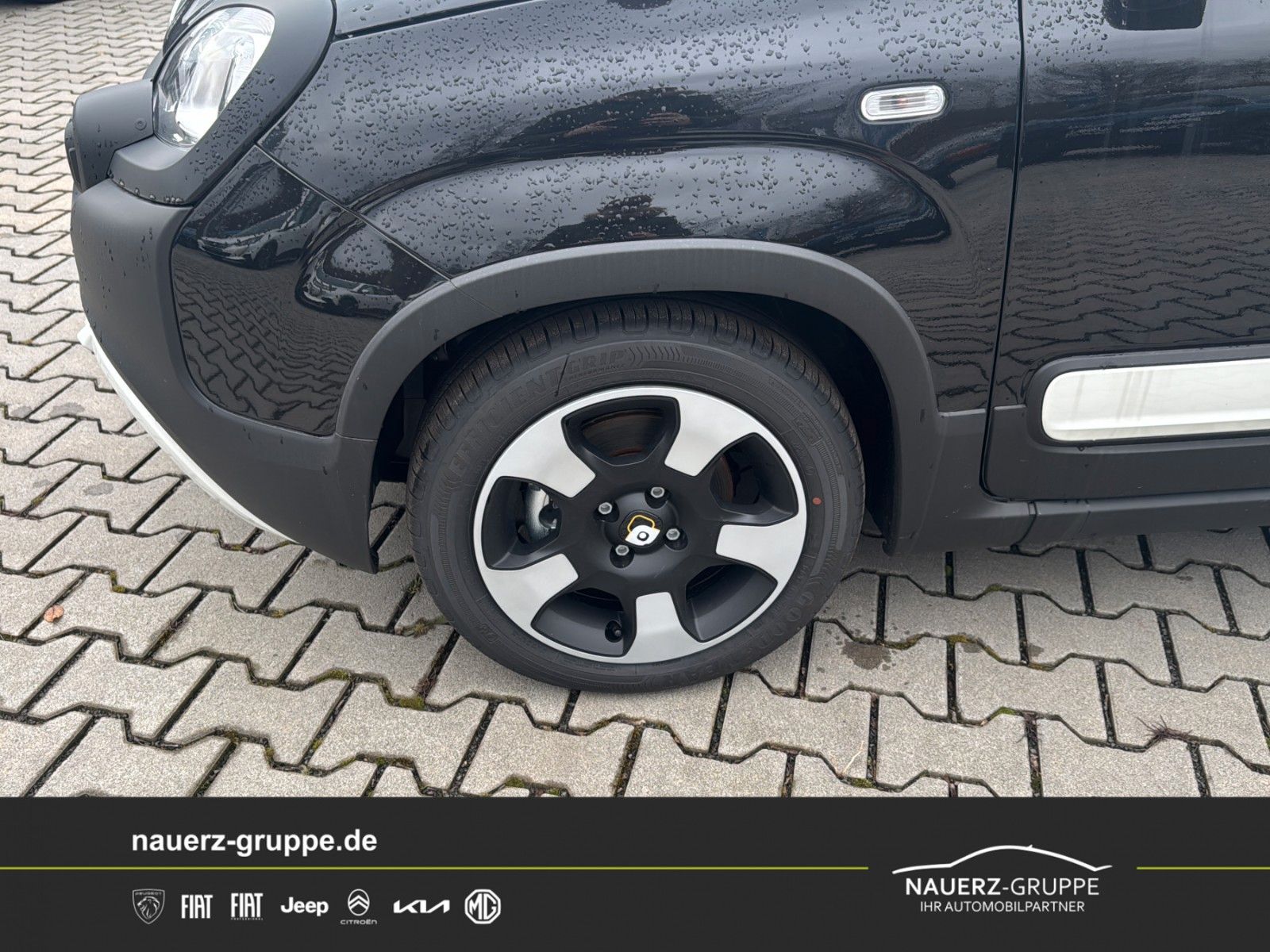 Fahrzeugabbildung Fiat Panda Pandina Cross