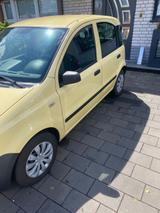 Fiat Panda  Bj.2009 !!!/heute 800 - Fiat Panda Gebrauchtwagen in Krefeld