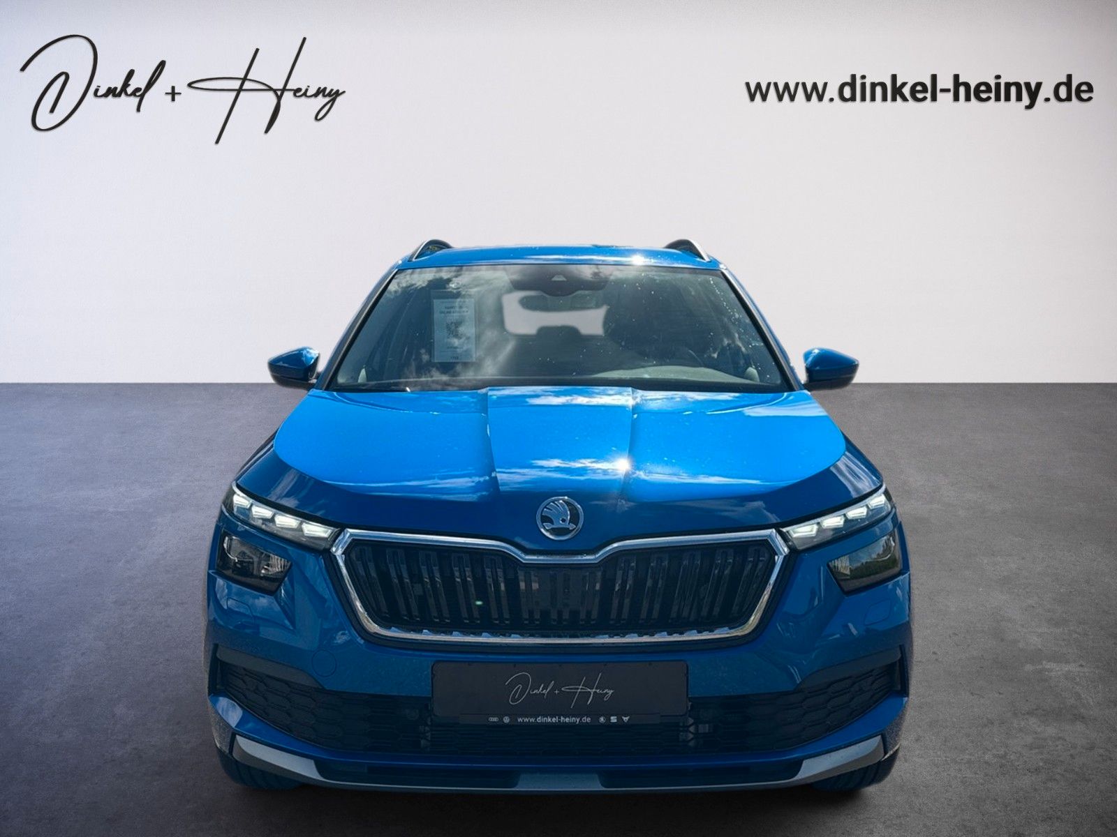 Fahrzeugabbildung SKODA Kamiq Ambition Tour 1.5 TSI