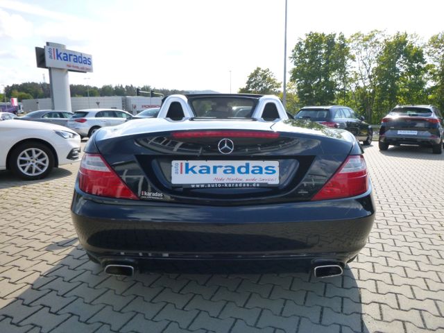 Fahrzeugabbildung Mercedes-Benz SLK 250