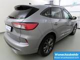 Ford Kuga 2.5 FHEV ST-Line X LED+Winterpaket+Kam.+AHK - Ford Kuga FHEV Gebrauchtwagen