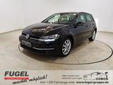 Volkswagen Golf 1.0 TSI DSG IQ.DRIVE Pano|ACC|Navi|LED|Wint - Volkswagen Gebrauchtwagen in Chemnitz