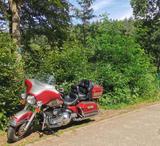 Harley-Davidson bis 27.7.: ELECTRA GLIDE Classic FLT Cruiser - HARLEY-DAVIDSON 1997