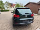 Volkswagen Tiguan Track & Field 4x4 SH AHK Steuerkette neu - Volkswagen Tiguan: Field Track