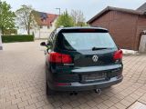Volkswagen Tiguan Track & Field 4x4 Sitzheizung AHK - Volkswagen Tiguan: Field Track