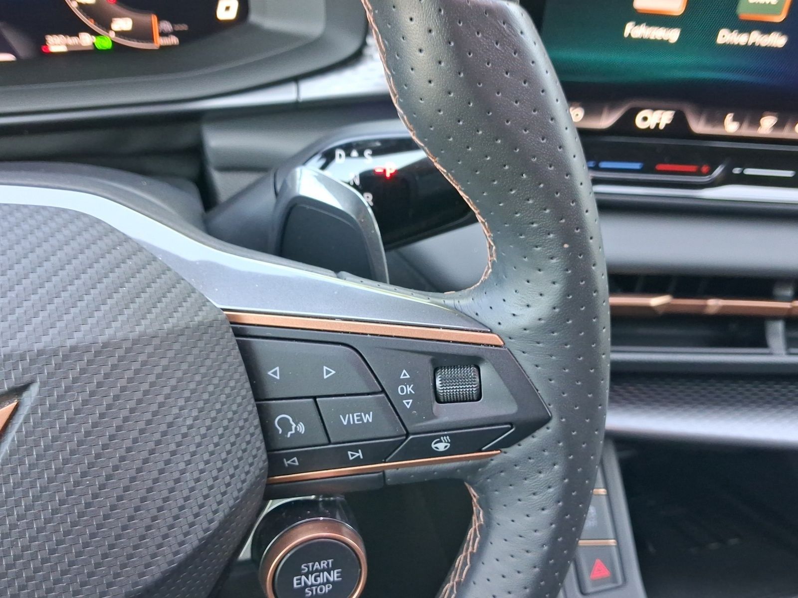 Cupra Terramar - Bild 11