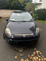 Fiat Punto evo - Fiat Punto Evo in Köln