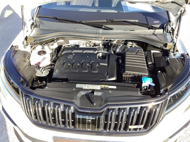 Kodiaq 2.0Bi-TDI DSG 4x4 RS AHK