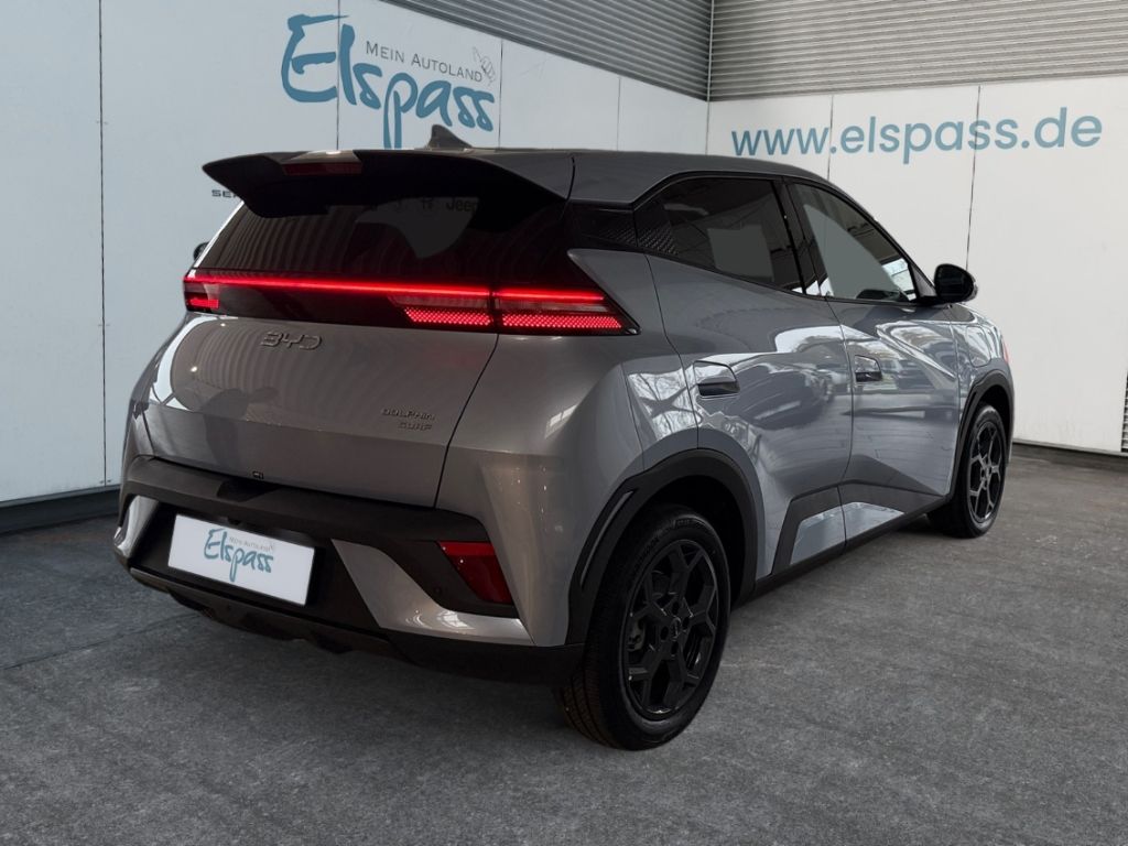 BYD DOLPHIN SURF