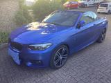 BMW 230i Steptronic Cabrio M Sport LED NAVI KAMERA - BMW 230: Von Privat