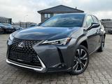 Lexus UX 250h Luxury Hybrid - graue Lexus UX