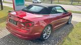 Audi A5 Cabrio 40 TDI S-tronic|Matrix-LED|AHK - Audi A5: Rot, Cabrio