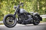 Harley-Davidson Springer Bobber Umbau Custom Softail - HARLEY-DAVIDSON 2004 SOFTAIL