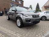 Land Rover Range Rover Evoque SE/PANO/Kamera - Land Rover Range Rover Evoque Gebrauchtwagen