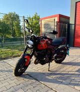 Triumph Trident 660 Matt BayaOrange+Kofferset - TRIUMPH MOTORRAD TR6
