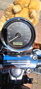 Harley-Davidson Sportster 1200 Low - Angebote entsprechen deinen Suchkriterien