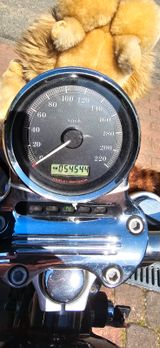 Harley-Davidson Sportster 1200 Low - Offers matching your search criteria