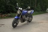 Honda CB6000F Hornet PC34 - Offers matching your search criteria